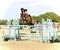William Rekert and Corinio Z Secure Horse of the Year Show Ticket at GFS Saddles Senior Newcomers Championship Second Round